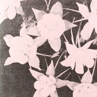 Jabu  &  Sunun - Lately / Lately Dub vinyl cover
