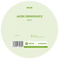 Jacek Sienkiewicz - Su17 vinyl cover