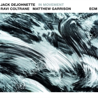 Jack Dejohnette - In Movement vinyl cover
