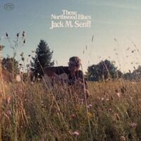 Jack M Senff - These Northwood Blues vinyl cover