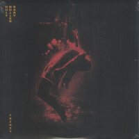 Jade Warrior - Released vinyl cover