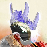 Jadu Heart - Wanderflower / Ezra's Garden vinyl cover