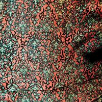 Jaimie Branch - Fly Or Die Live vinyl cover