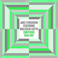 Jake Ferguson - Emotions Run Dry vinyl cover