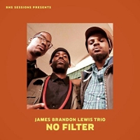James Brandon Trio Lewis - No Filter vinyl cover