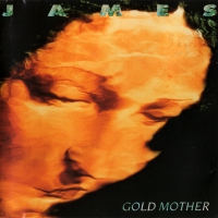 James - Gold Mother vinyl cover