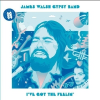 James Gypsy Band Walsh - I've Got The Feelin' vinyl cover