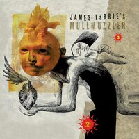 James Labrie & Mullmuzzler - 2 vinyl cover