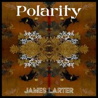 James Larter - Polarity