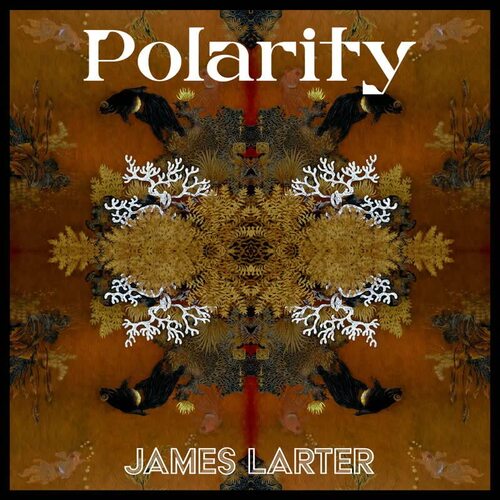 James Larter - Polarity vinyl cover