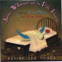 James & Pink Hearts Williamson - Behind The Shade vinyl cover