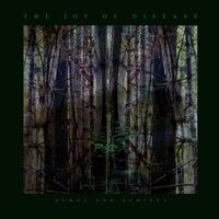 James Plotkin - Joy Of Disease: Demos & Remixes vinyl cover
