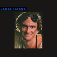 James Taylor - Dad Loves His Work (Blue) vinyl cover