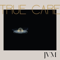 James Vincent Mcmorrow - True Care vinyl cover