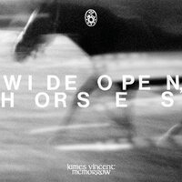 James Vincent McMorrow - Wide Open, Horses vinyl cover