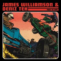 James Williamson - Two To One vinyl cover