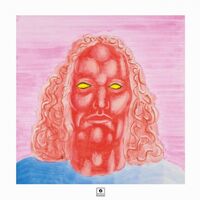 Jameszoo - Blind vinyl cover