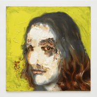 Jameszoo - Fool vinyl cover