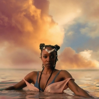 Jamila Woods - Heavn vinyl cover