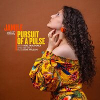Jamile - Pursuit Of A Pulse vinyl cover