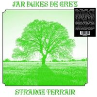 Jan Dukes De Grey - Strange Terrain