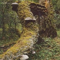 Jan Jelinek - Kosmischer Pitch vinyl cover