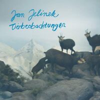 Jan Jelinek - Tierbeobachtungen vinyl cover