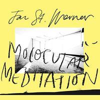 Jan St. Werner - Molocular Meditation vinyl cover