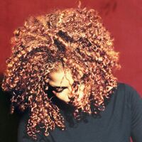 Janet Jackson - The Velvet Rope vinyl cover