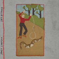 Janet Simpson - Safe Distance vinyl cover