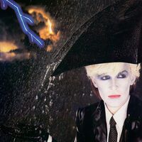 Japan - Gentlemen Take Polaroids Half Speed Master vinyl cover