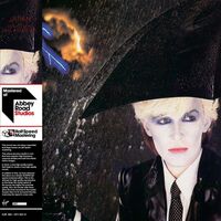 Japan - Gentlemen Take Polaroids Half Speed Master vinyl cover