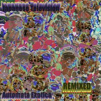 Japanese Television - Automata Exotica The Remixes vinyl cover