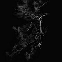 Jarboe - Illusory vinyl cover