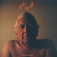 Jaubi - A Sound Heart vinyl cover