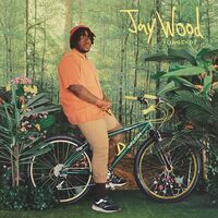 Jay Wood - Slingshot (Canary Yellow) vinyl cover