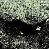 Jaye Jayle - No Trail & Other Unholy Paths vinyl cover