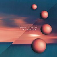 Jean-Luc Ponty - Life Enigma vinyl cover