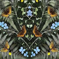 Jean-Michel Blais - Aubades vinyl cover