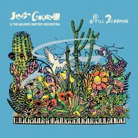 Jeff Goldblum & The Mildred Snitzer Orchestra - Still Blooming vinyl cover