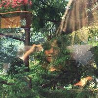 Jennifer Castle - Angels Of Death vinyl cover