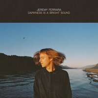 Jeremy Ferrara - Darkness Is a Bright Sound vinyl cover