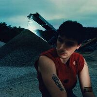 Jeremy Zucker - Crusher Grey (Explicit Lyrics) vinyl cover