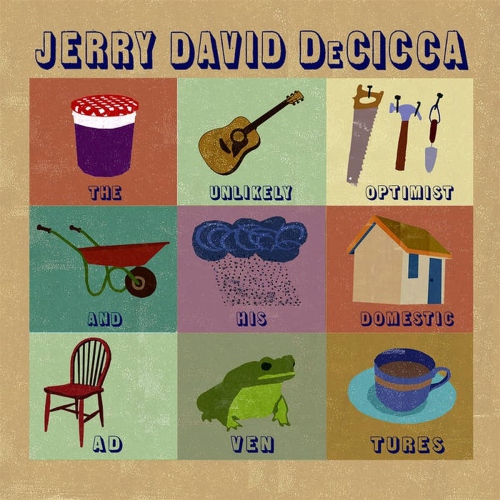Jerry Decicca David - The Unlikely Optimist And His Domestic Adventures vinyl cover