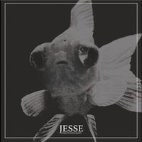 Jesse - Complete Discography vinyl cover