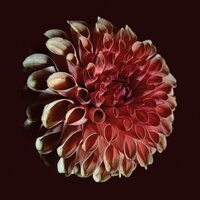 Jessica Moss - Unfolding vinyl cover