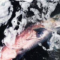 Jessike Kenney & Eyvind Kang - Azure vinyl cover