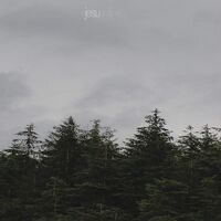 Jesu - Infinity vinyl cover