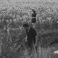Jesu - Jesu / Sun Kil Moon vinyl cover