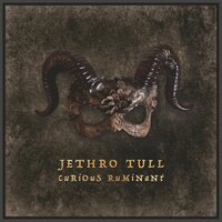 Jethro Tull - Curious Ruminant vinyl cover